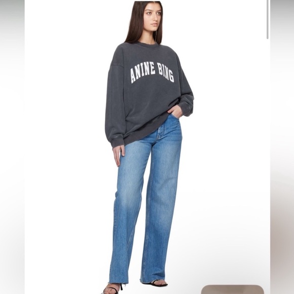 ANINE BING Revolve Distressed Designer Tyler Sweatshirt in Gray White Size XL - Picture 7 of 15